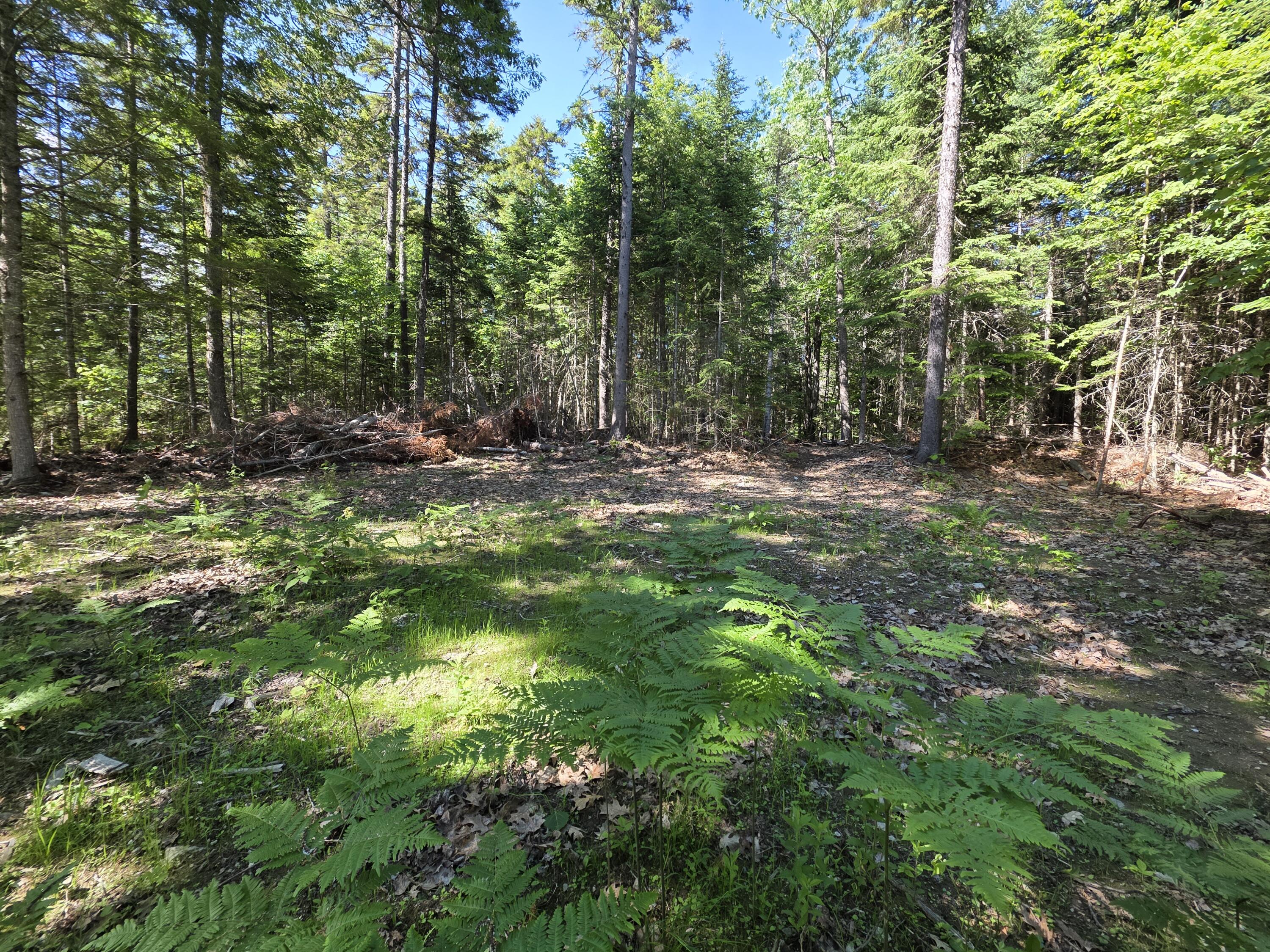 458 Point Road Ellsworth, ME 04605 - Photo 3 of 6
