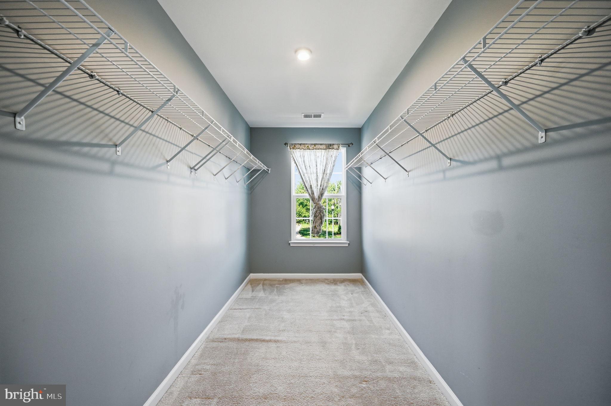 687 Blossom Tree Road Culpeper, VA 22701 - Photo 21 of 31 a view of hallway with window