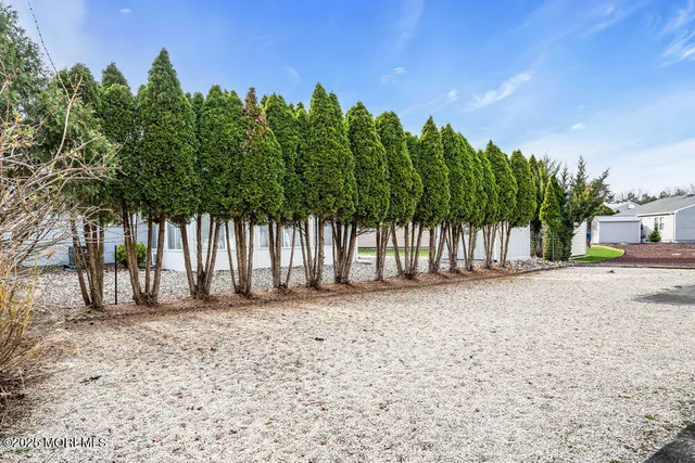 a view of a yard with palm trees