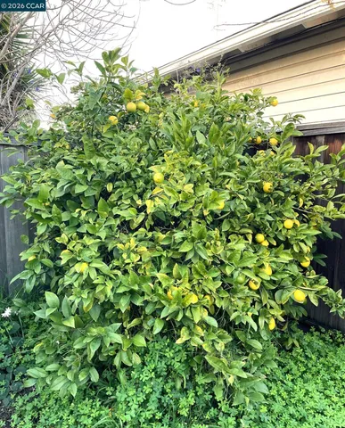 $235,000 | 363 West Bissell Avenue, Richmond, CA 94801