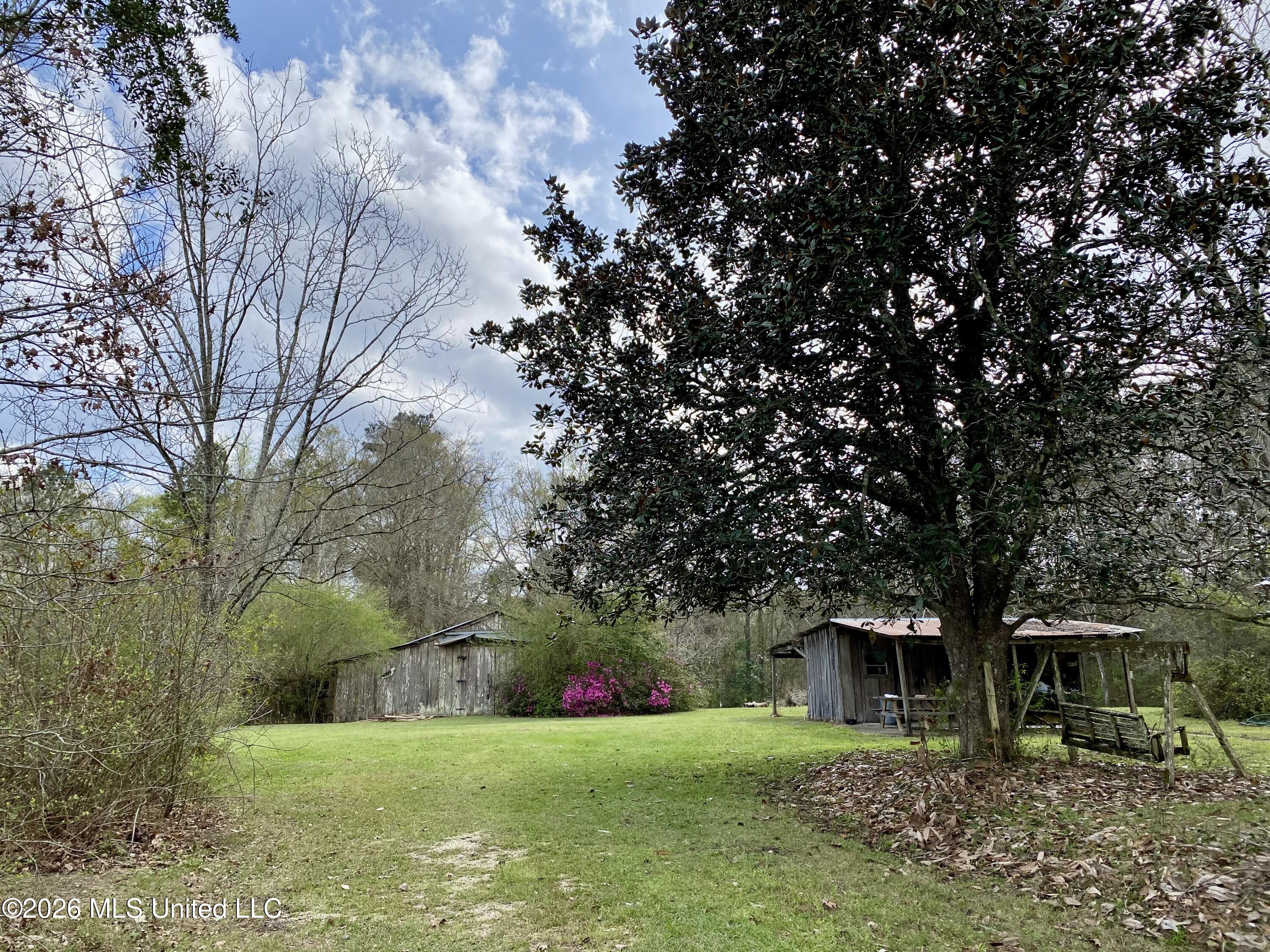 118 Mcneil-henleyfield Road Carriere, MS 39426 - Photo 11 of 18 11, IMG_8738