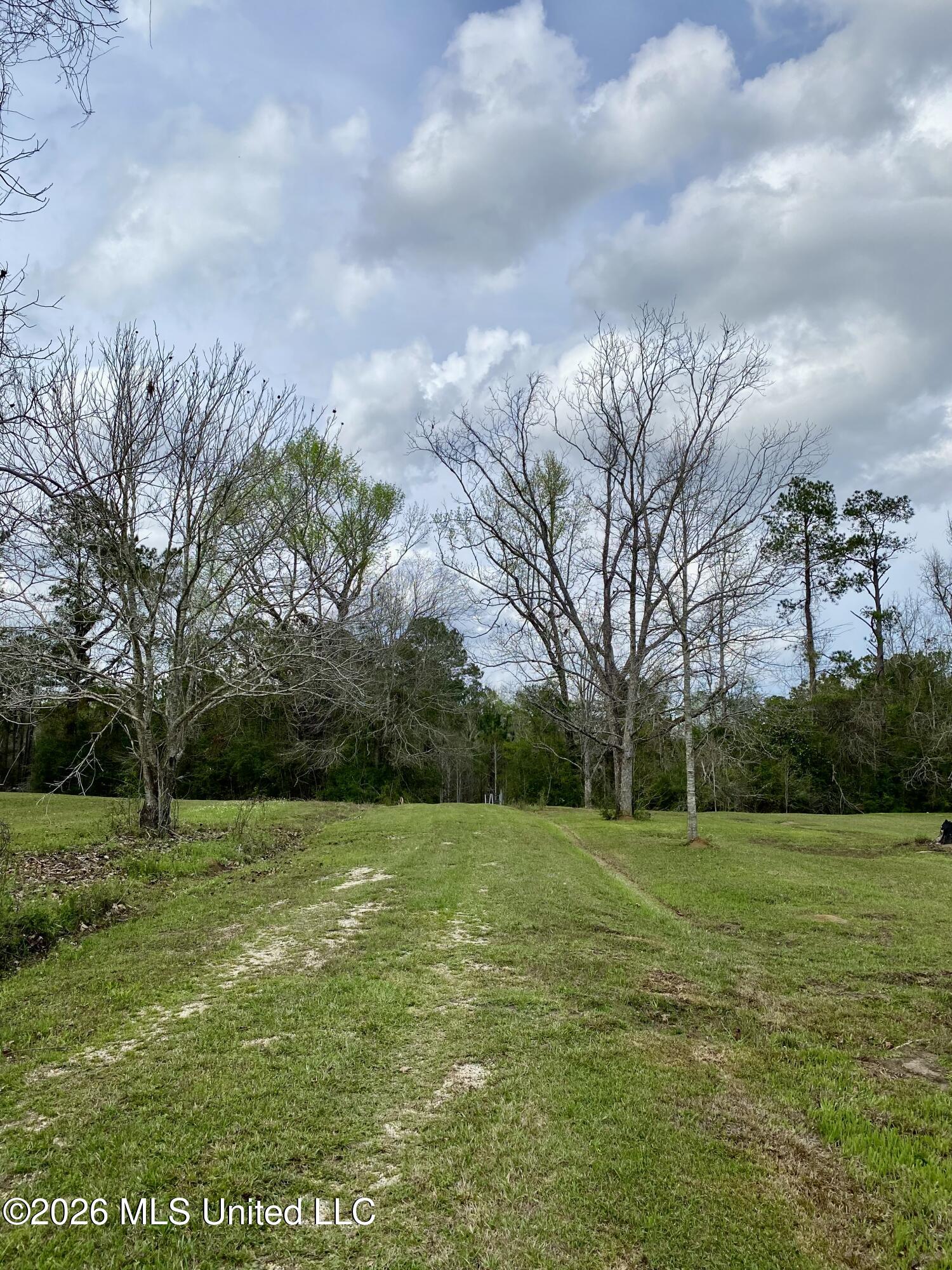 118 Mcneil-henleyfield Road Carriere, MS 39426 - Photo 17 of 18 17, IMG_8740