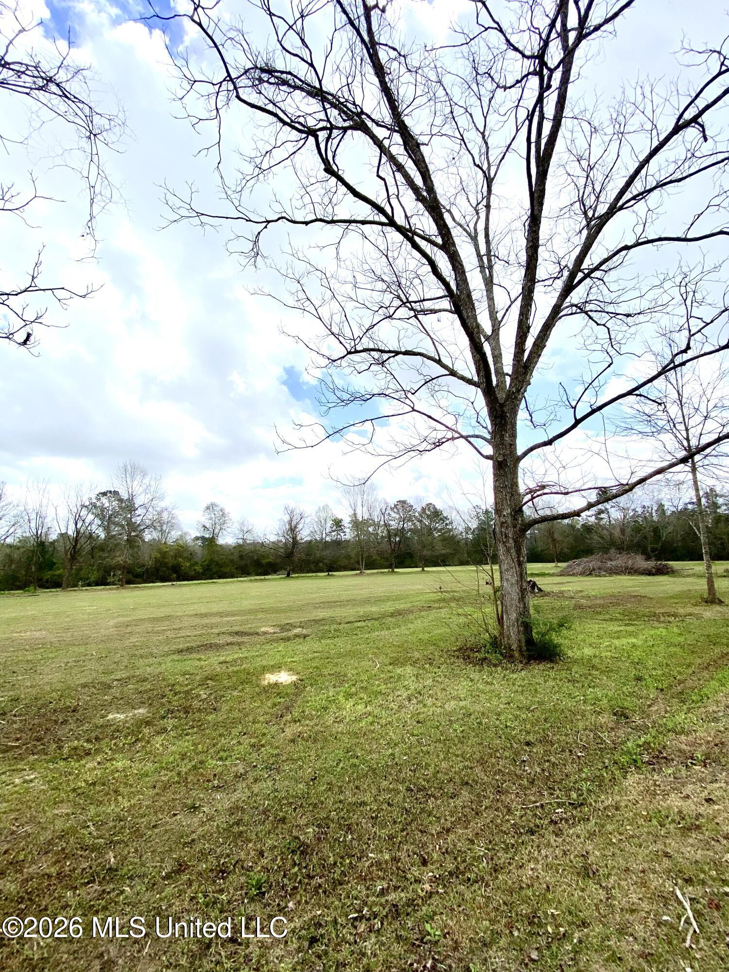 118 Mcneil-henleyfield Road Carriere, MS 39426 - Photo 18 of 18 18, IMG_8727