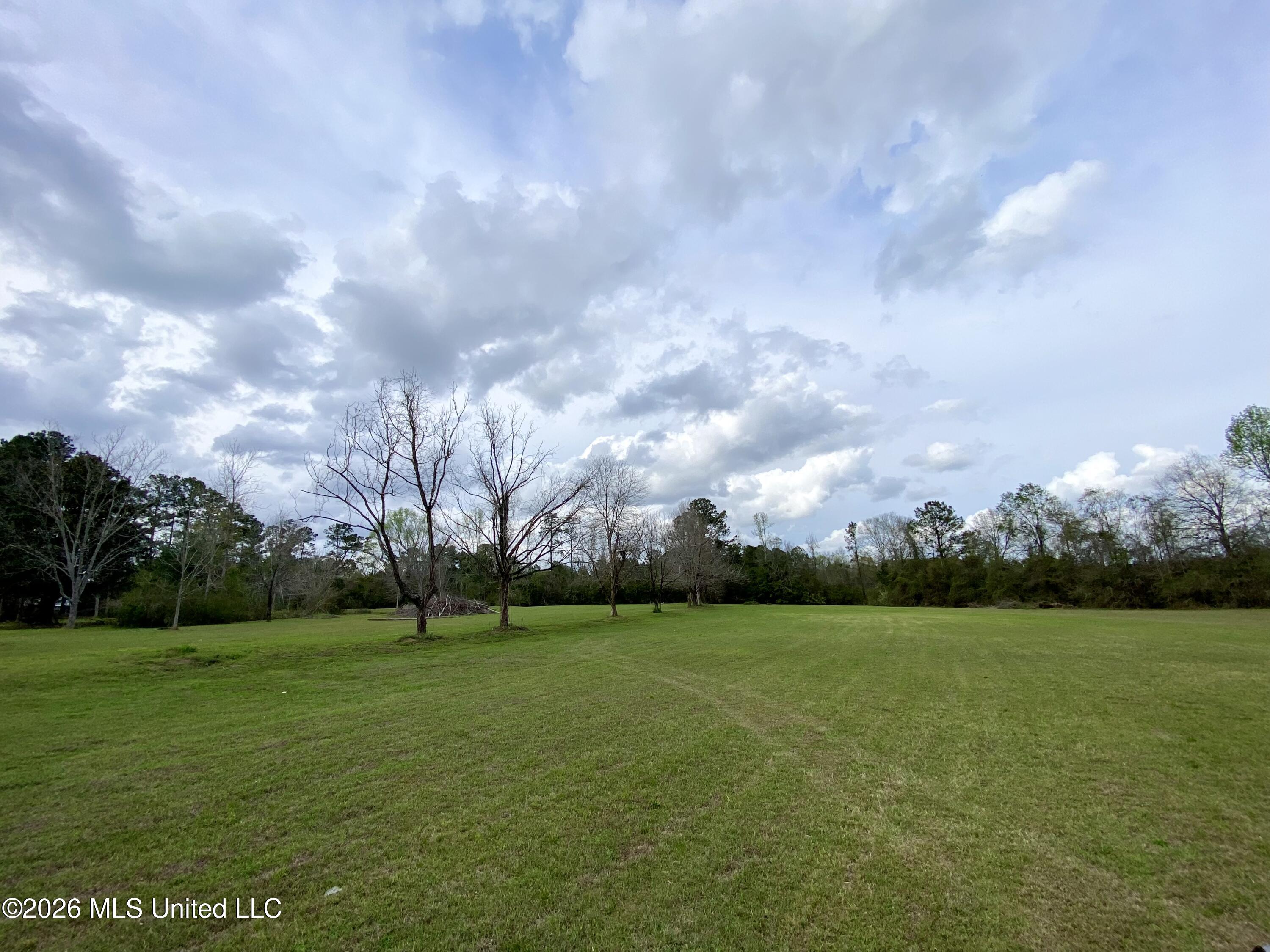 118 Mcneil-henleyfield Road Carriere, MS 39426 - Photo 2 of 18 2, IMG_8750
