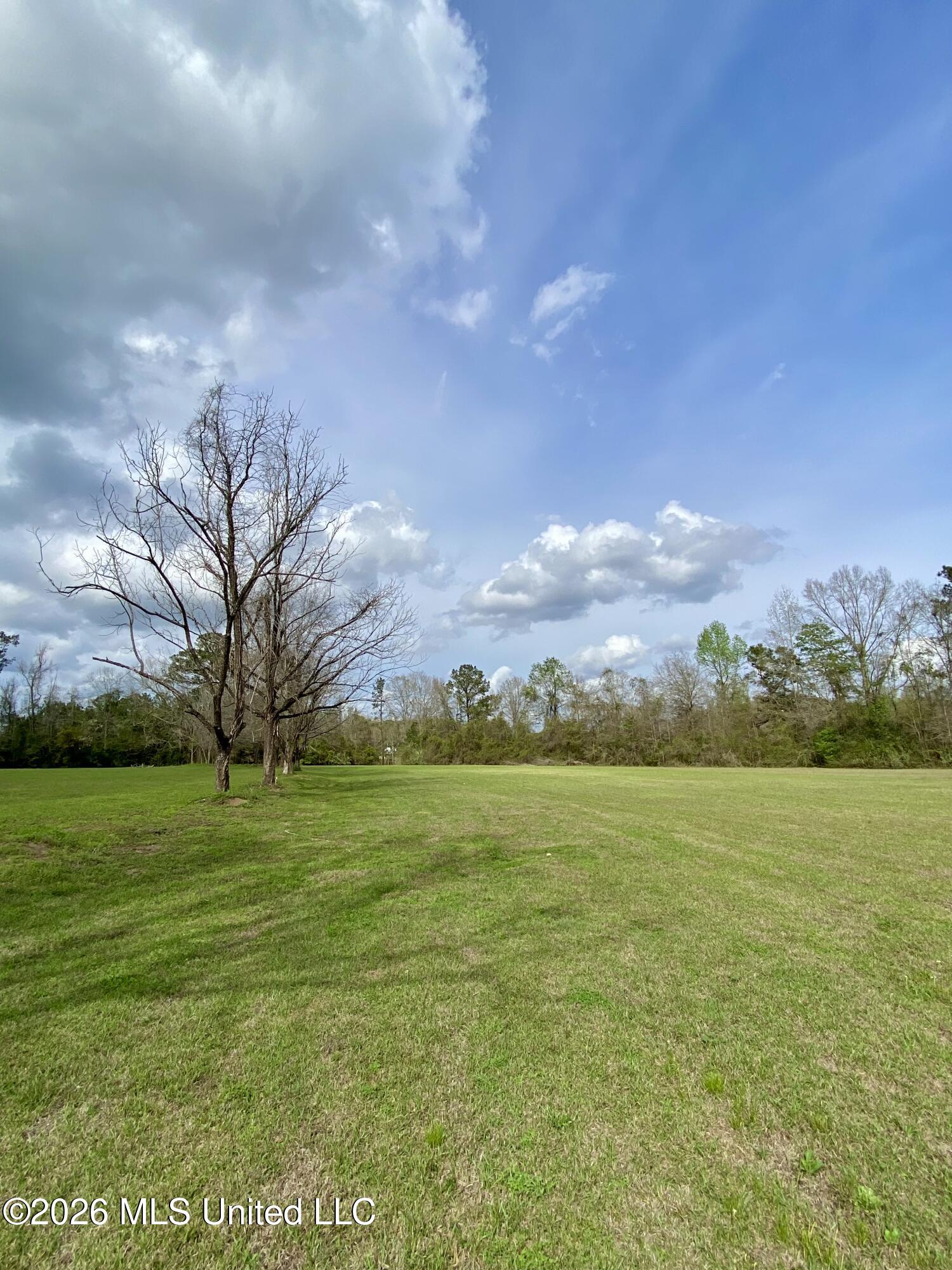 118 Mcneil-henleyfield Road Carriere, MS 39426 - Photo 4 of 18 4, IMG_8746