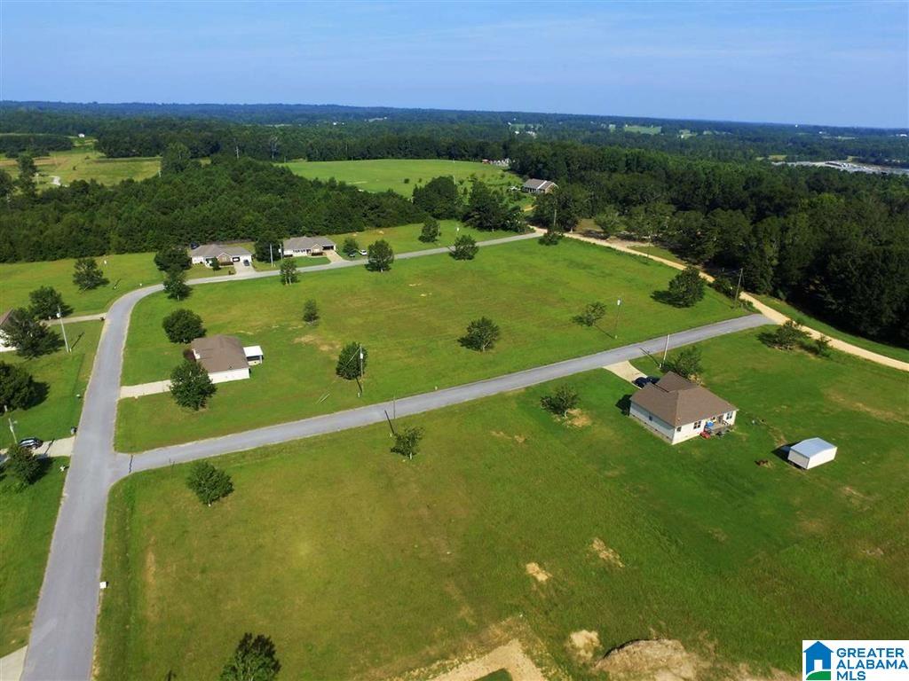 1 County Road 951, Unit 1 Clanton, AL 35045 - Photo 5 of 7