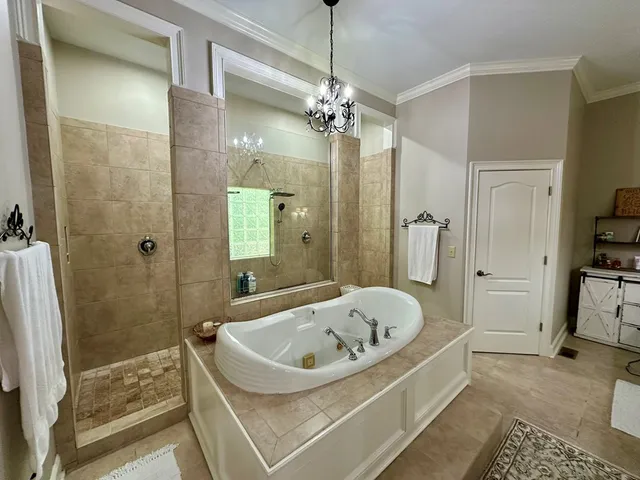 a view of a yard with tree s