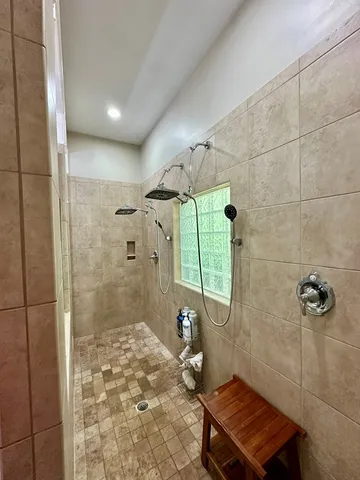 a view of a park with large trees