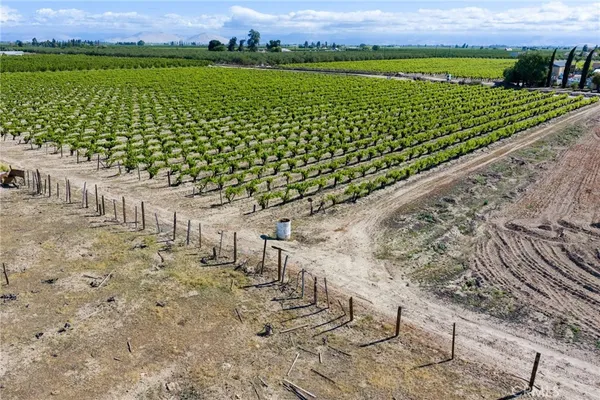 a view of a yard with a garden