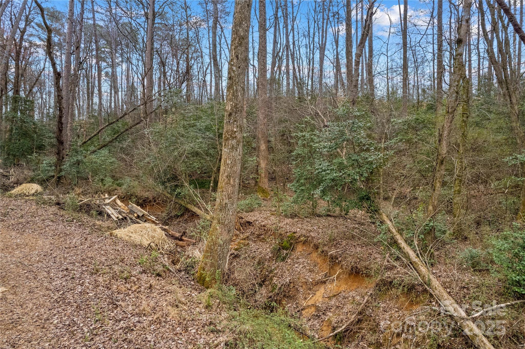 0 Stanley Mill Road, Unit 1 Elkin, NC 28621 - Photo 5 of 17 a view of a garden