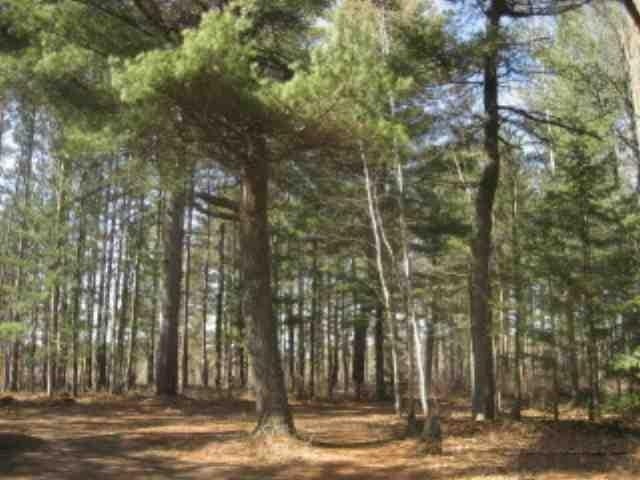 3210 Sandy Beach Road Park Falls, WI 54552 - Photo 14 of 16 Gallery Image 14