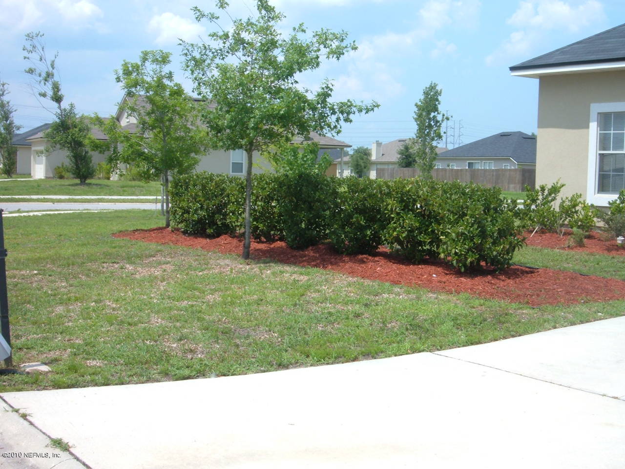 11775 Raindrop Road Jacksonville, FL 32219 - Photo 2 of 14 LANDSCAPED YARD