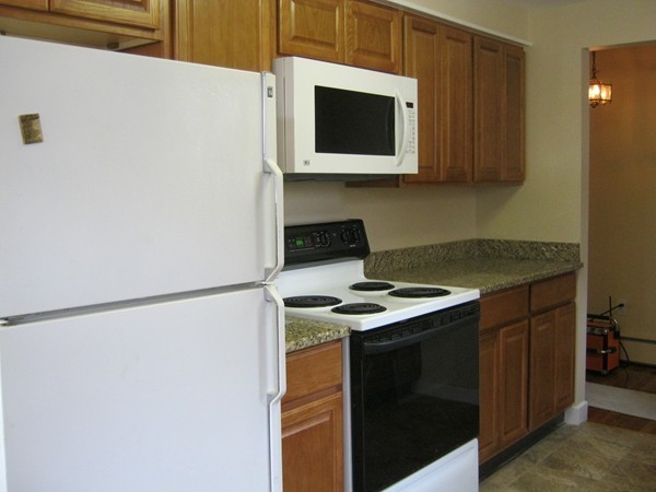 19 Rydal Street Worcester, MA 01602 - Photo 6 of 19 a kitchen with a stove and a microwave