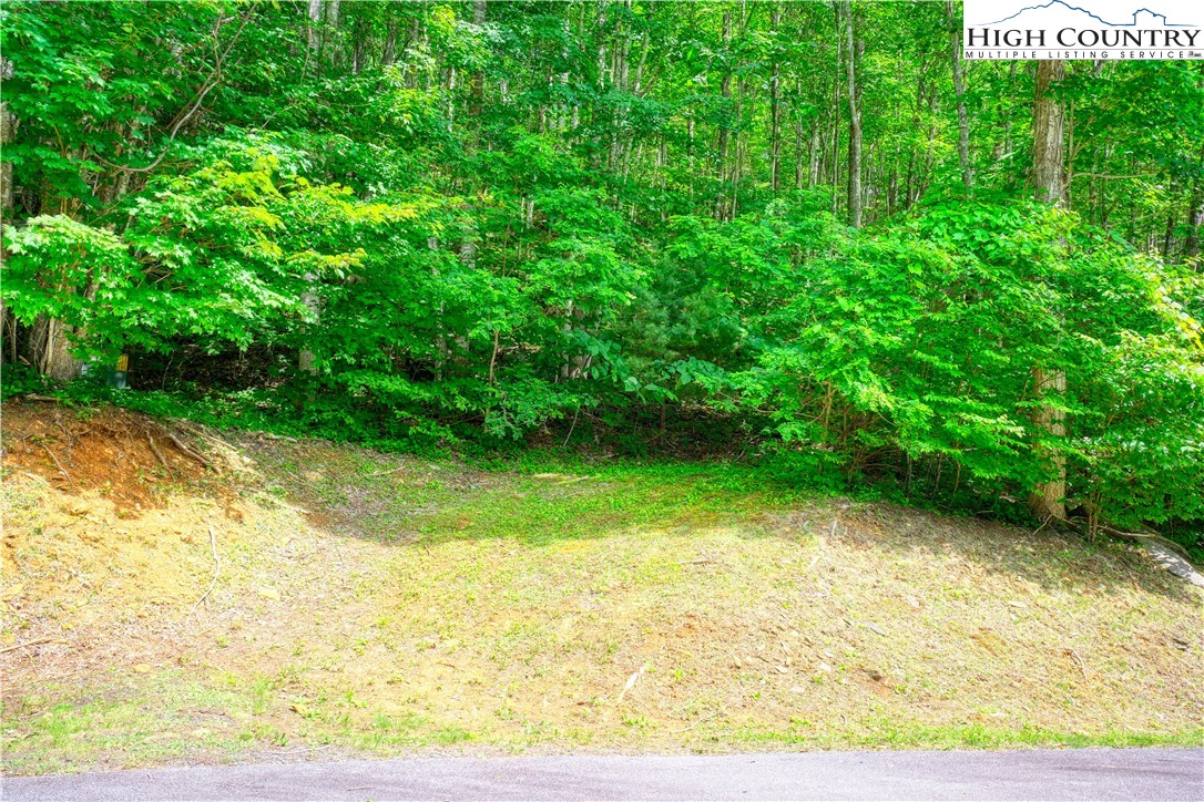 Lot 14 Quail Ridge Drive Fleetwood, NC 28626 - Photo 3 of 7
