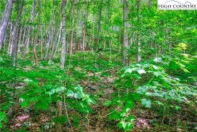 $25,000 | Lot 14 Quail Ridge Drive, Fleetwood, NC 28626