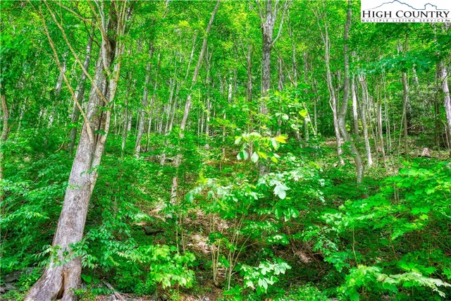 $25,000 | Lot 14 Quail Ridge Drive, Fleetwood, NC 28626
