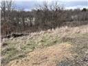 0 Williams Street Washington, PA 15301 - Photo 25 of 41 a view in yard