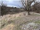 0 Williams Street Washington, PA 15301 - Photo 26 of 41 a view of a forest
