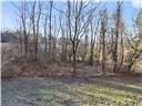 0 Williams Street Washington, PA 15301 - Photo 8 of 41 a view of a yard