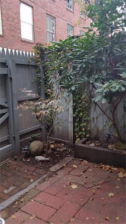 9 Mattoon Street Springfield, MA 01105 - Photo 4 of 16 a backyard of a house
