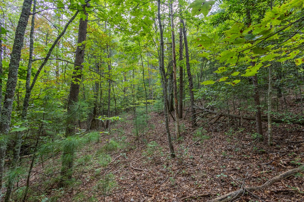 2-ac Horvath Road Murphy, NC 28906 - Photo 11 of 12