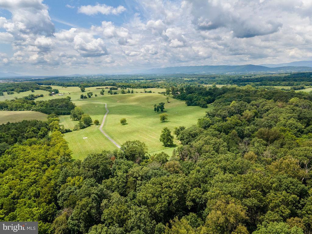 1115 Chapel Road Middletown, VA 22645 - Photo 53 of 54 a view of a garden with an ocean