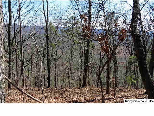 4565 Shadow Ridge Parkway, Unit 29 Pinson, AL 35126 - Photo 8 of 12