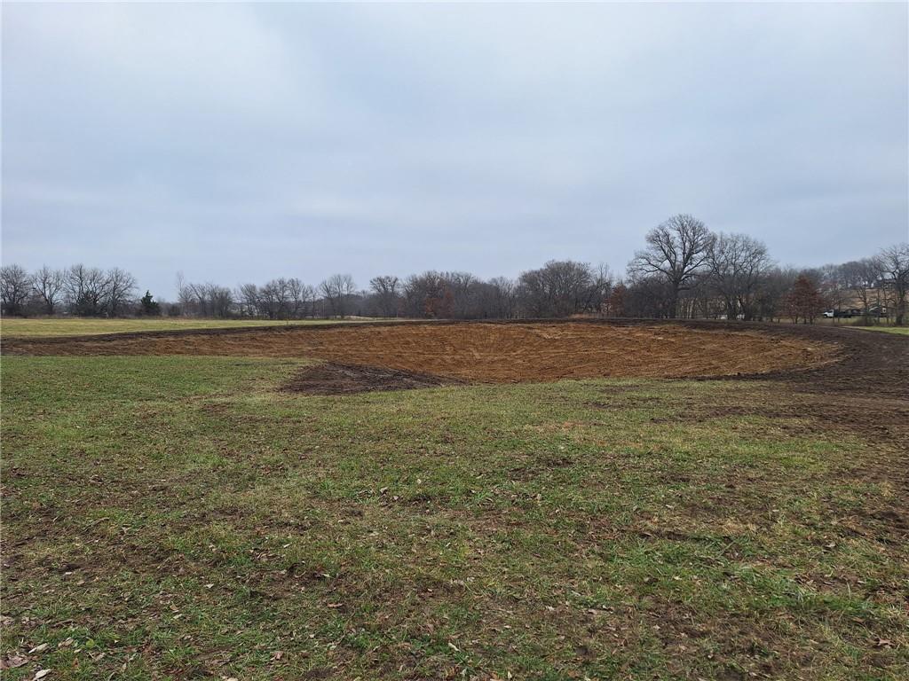 Tract C Tract C Z Hwy Garden Garden City, MO 64747 - Photo 3 of 6