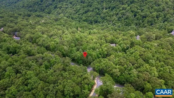 a view of a tree in a field