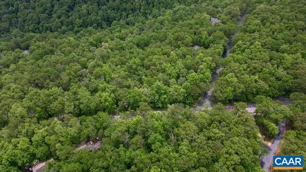 a view of a lush green forest with lots of trees