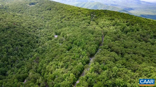 a view of a big yard with lots of bushes