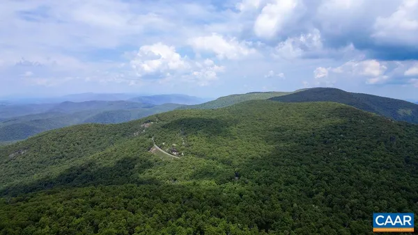 a view of a lush green forest