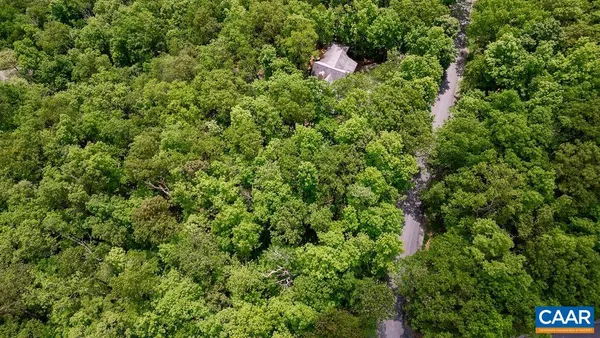 a view of a lush green forest with small trees