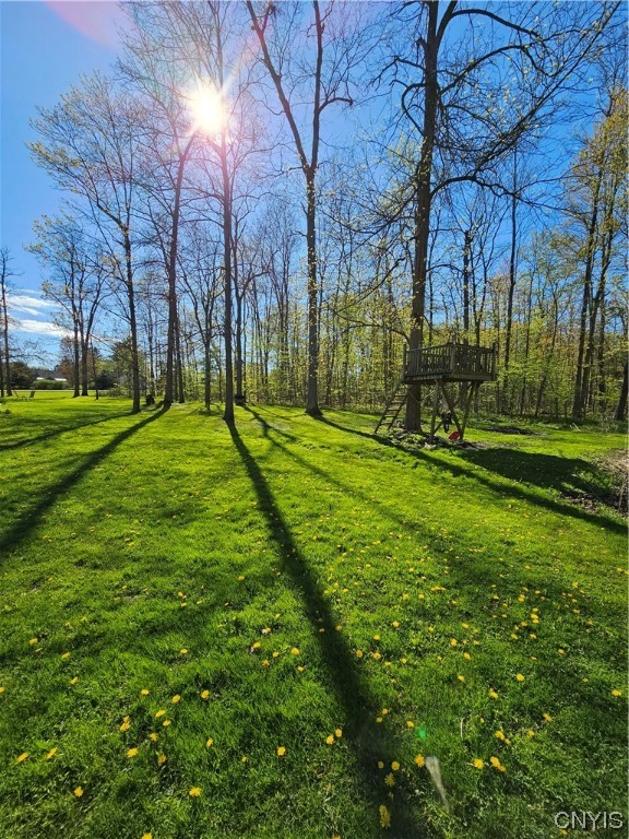 3124 County Rte 57 Volney, NY 13126 - Photo 7 of 31