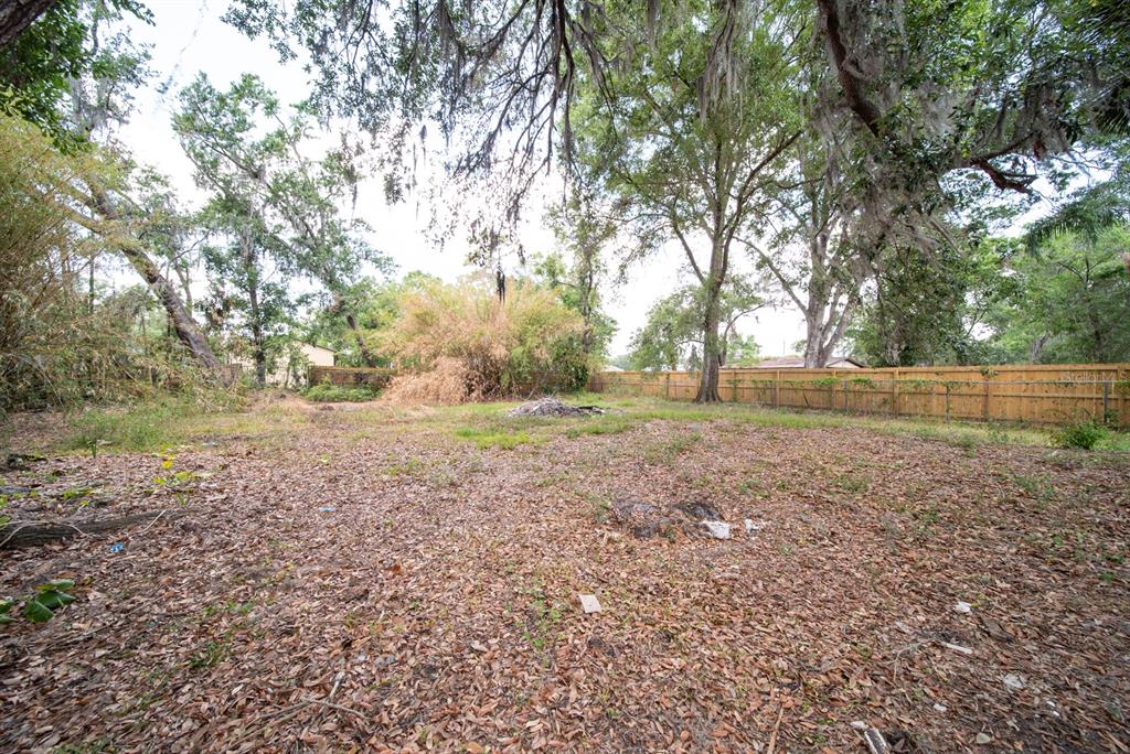 6345 Hatcher Road Lakeland, FL 33811 - Photo 5 of 41 a view of dirt yard with large trees