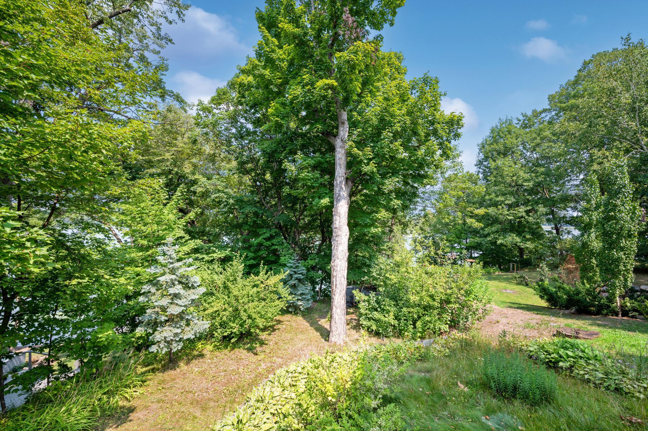 6338 Rambler Lane Mound, MN 55364 - Photo 4 of 29 Gallery Image 4