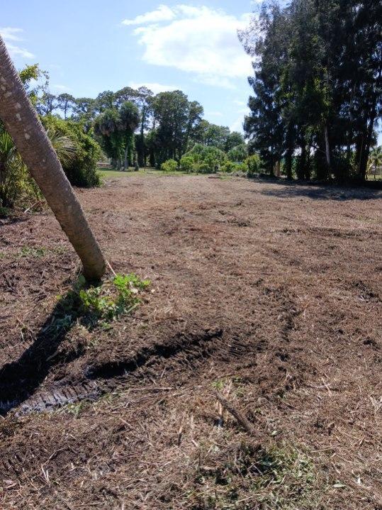 3832 Valkaria Road Malabar, FL 32950 - Photo 6 of 10 a view of an outdoor space with trees