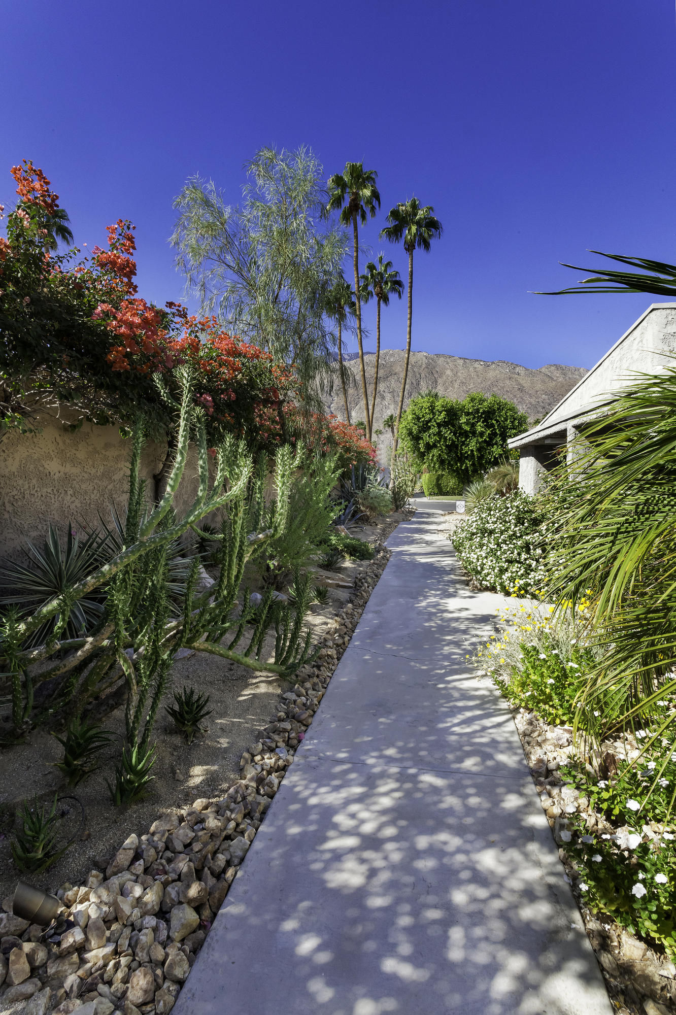 1111 Ramon Road, Unit 88 Palm Springs, CA 92264 - Photo 5 of 24 a view of a bunch of flowers