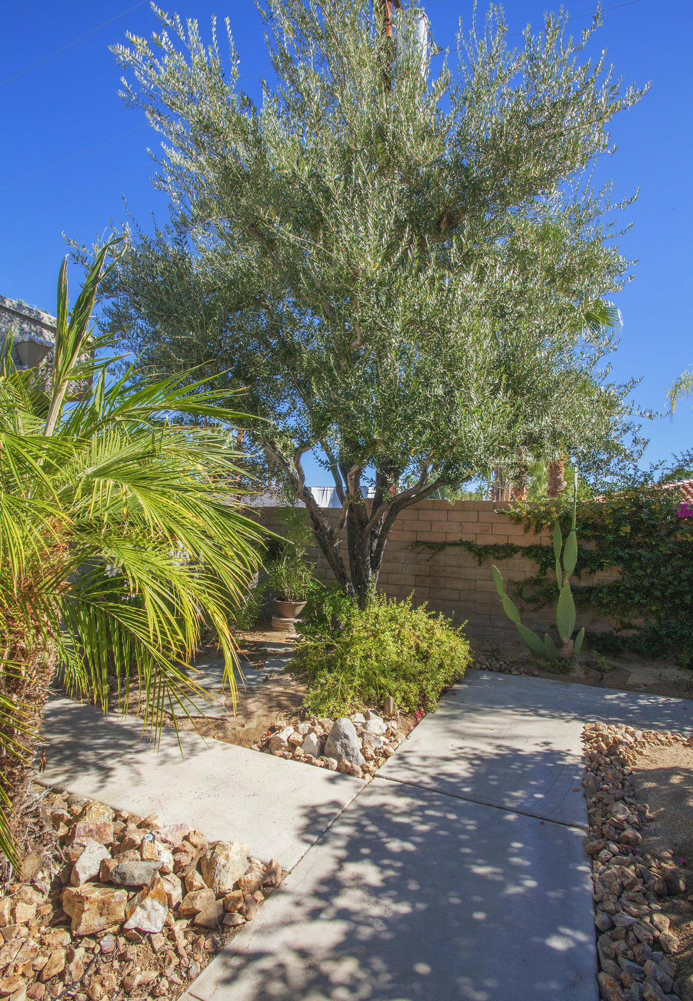1111 Ramon Road, Unit 88 Palm Springs, CA 92264 - Photo 6 of 24 a pathway with a yard