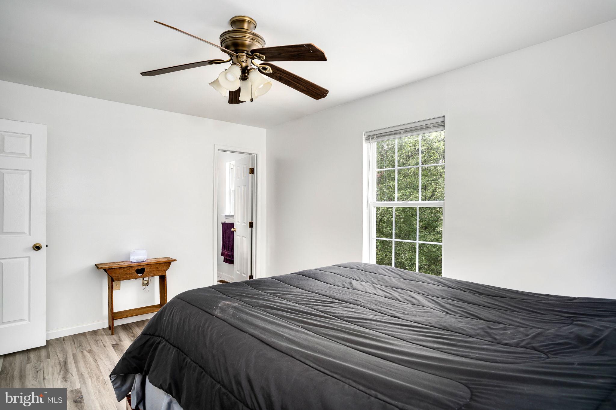 210 Grimes Golden Road Linden, VA 22642 - Photo 11 of 24 Gallery Image 11