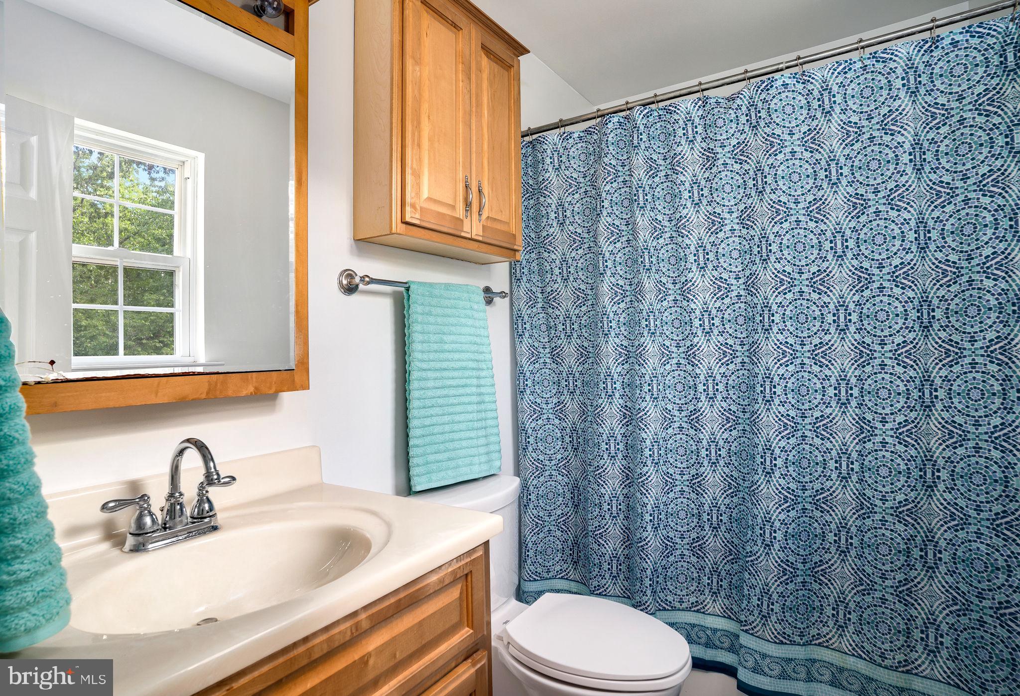 210 Grimes Golden Road Linden, VA 22642 - Photo 13 of 24 Gallery Image 13