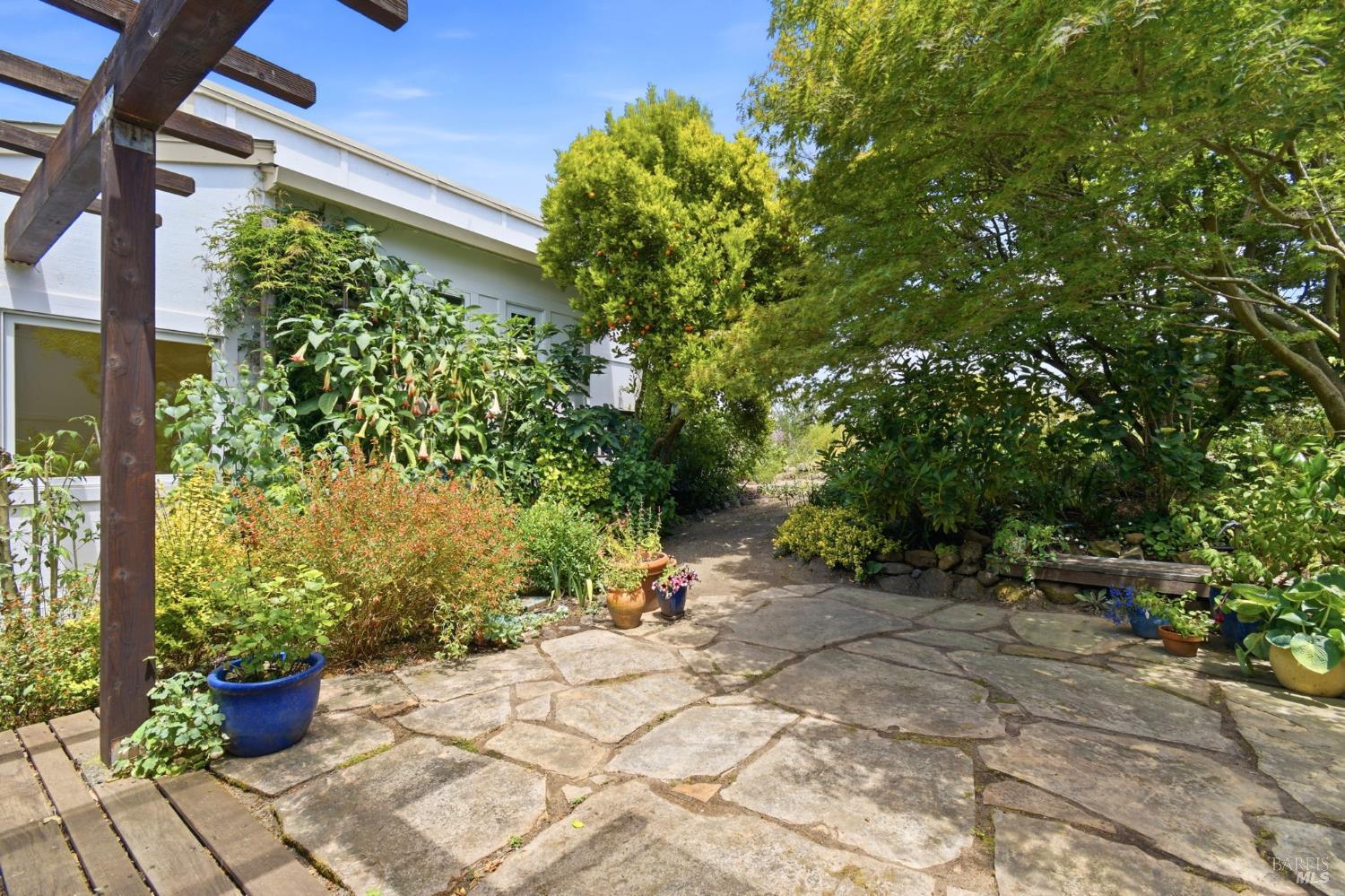 3223 Canfield Road Sebastopol, CA 95472 - Photo 33 of 58 Patio off Dining Room filled with Whimsical flowers and a Calamondin Tree.