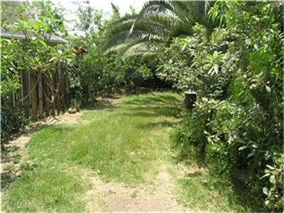 a view of yard with green space