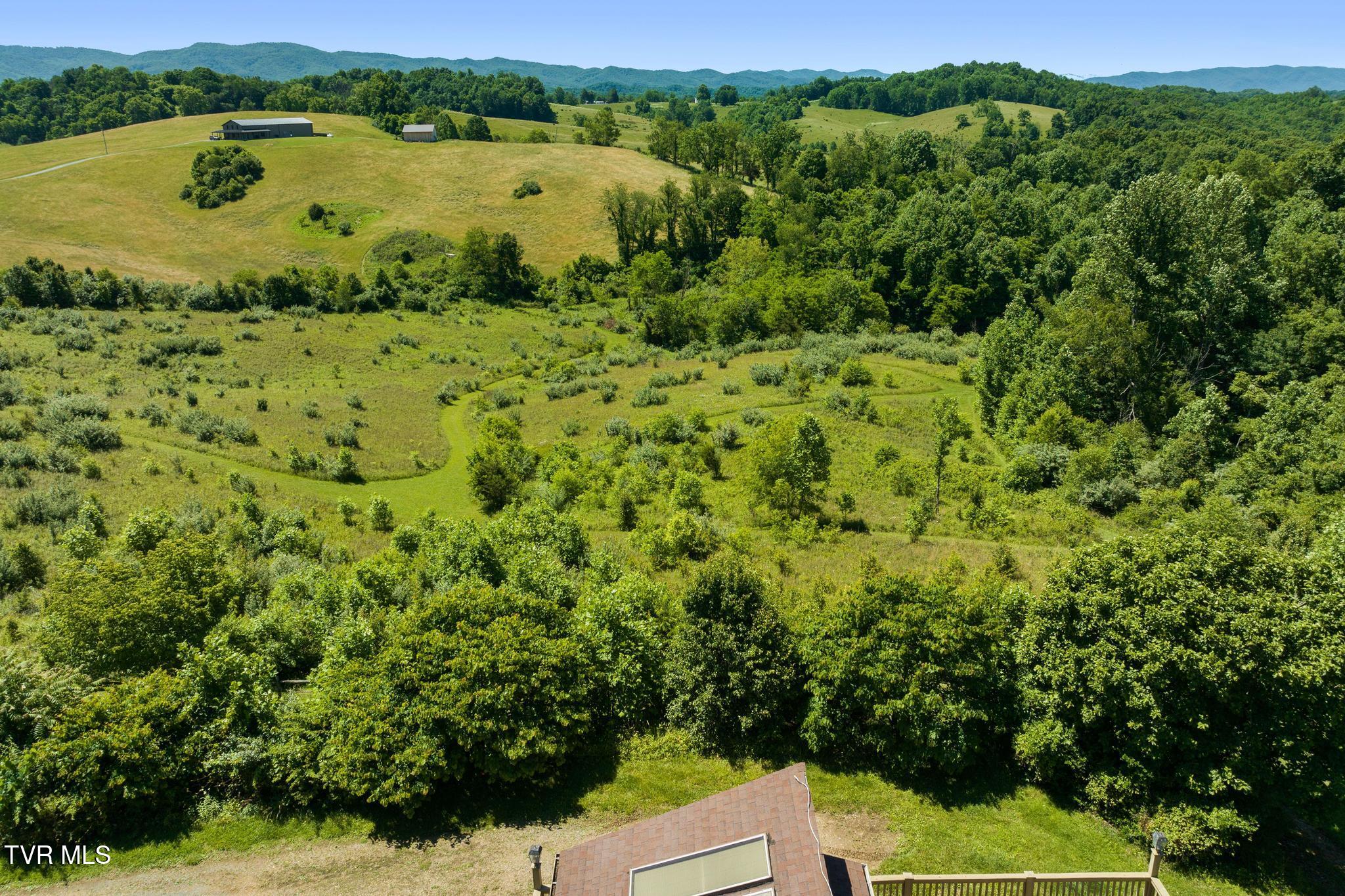 35000 Barrtree Lane Glade Spring, VA 24340 - Photo 56 of 79 DJI_0432