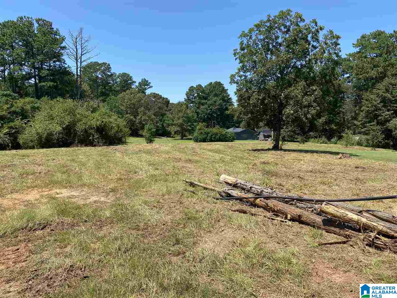 989 State Farm Road Alexandria, AL 36250 - Photo 4 of 7