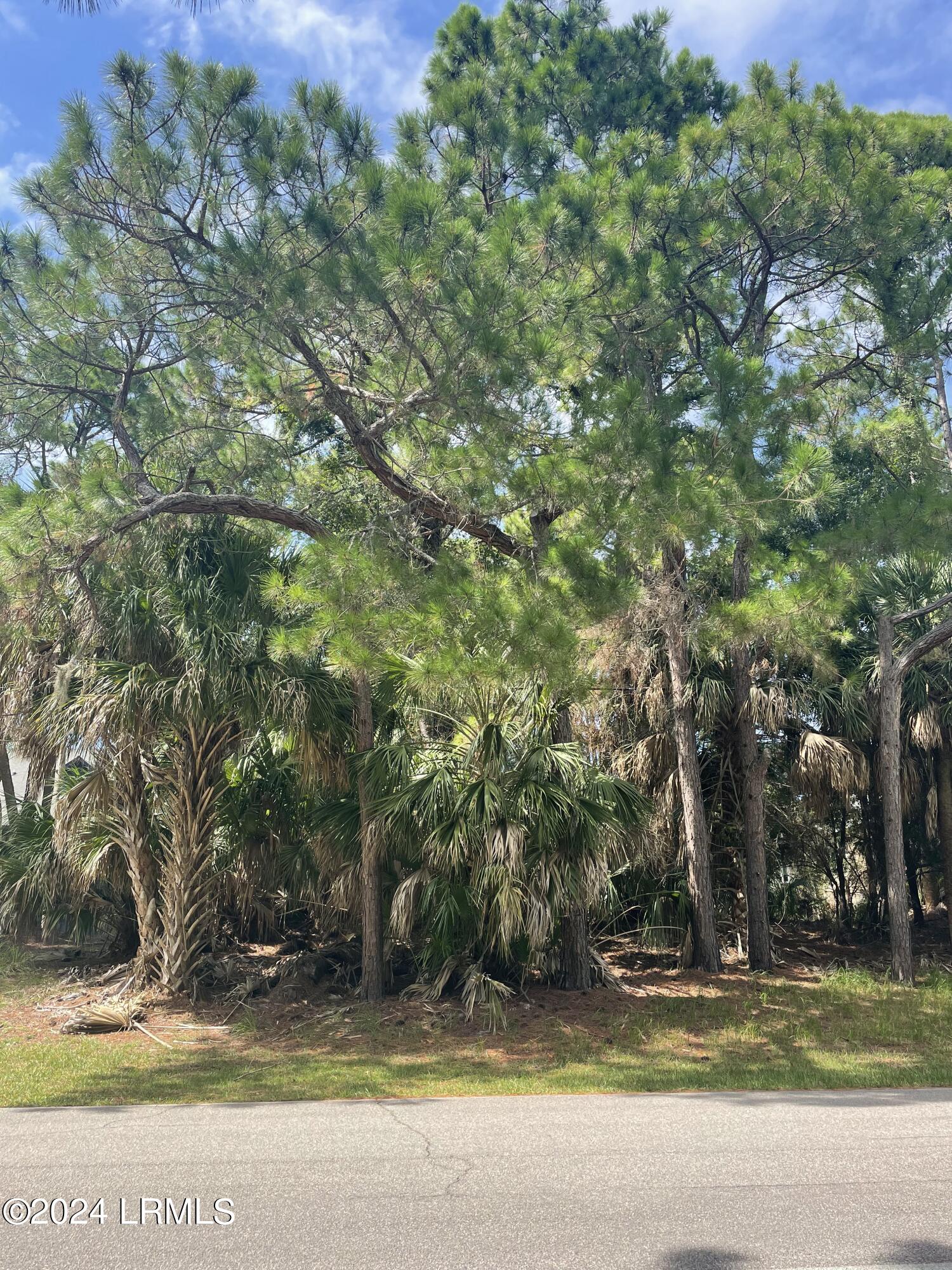 664 Dolphin Road Fripp Island, SC 29920 - Photo 4 of 18 Road view