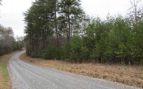Bench Leg Road Mineral Bluff, GA 30559 - Photo 1 of 1 Main View