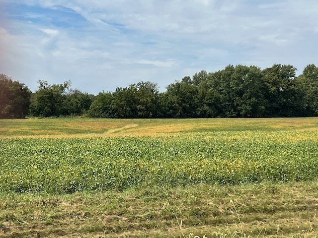0 Wells Ferry Road Pleasant Valley, IA 52767 - Photo 1 of 5