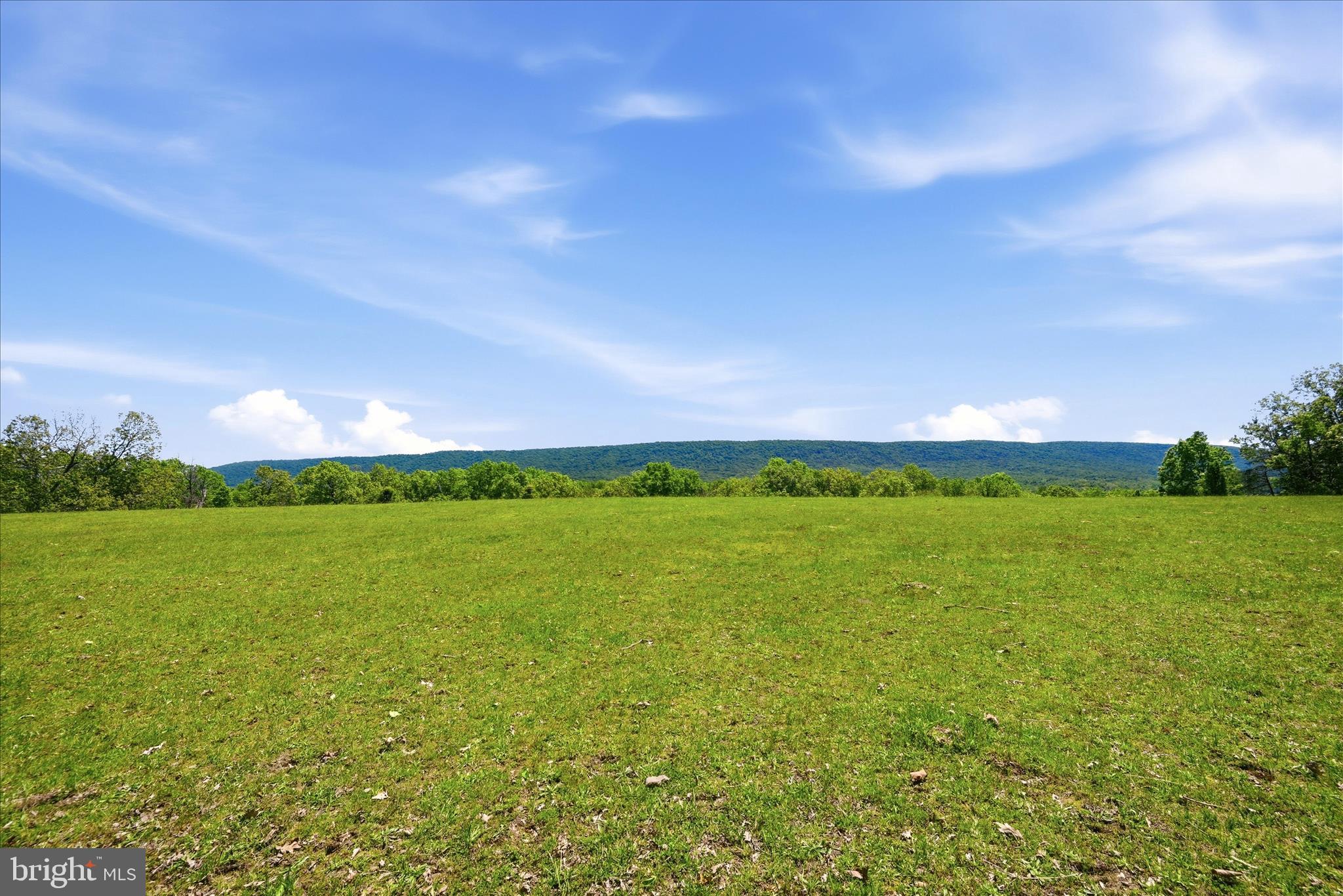 1909 Spohrs Road Berkeley Springs, WV 25411 - Photo 61 of 87 Field