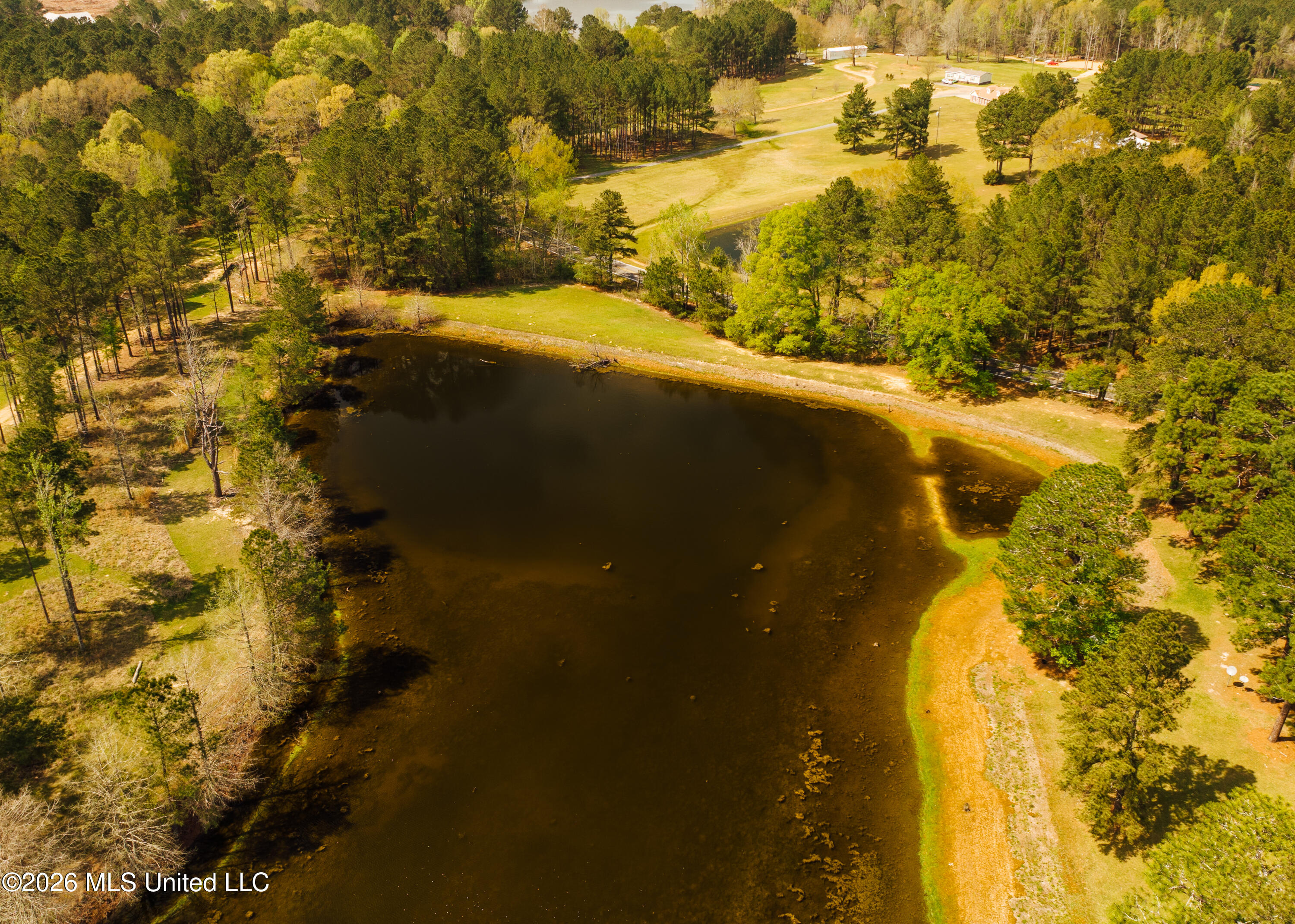 853 Spring Water Ranch Road Brandon, MS 39042 - Photo 15 of 17 853 Springwater Ranch Rd. Pics-18